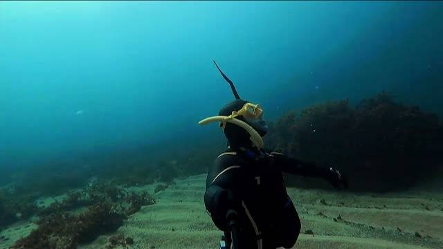 Фридайвинг в Черном море, ноябрь