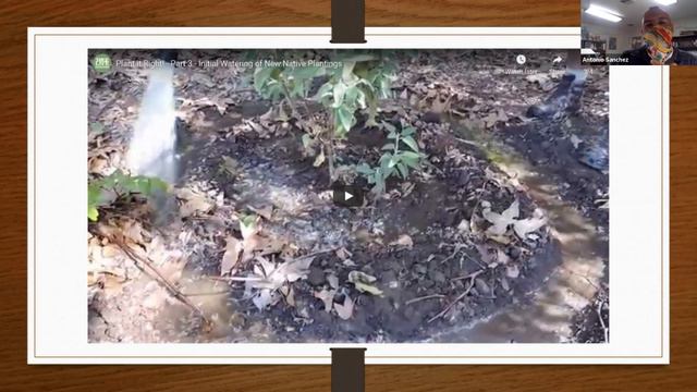 Native Plant Landscaping: A Beginners Guide