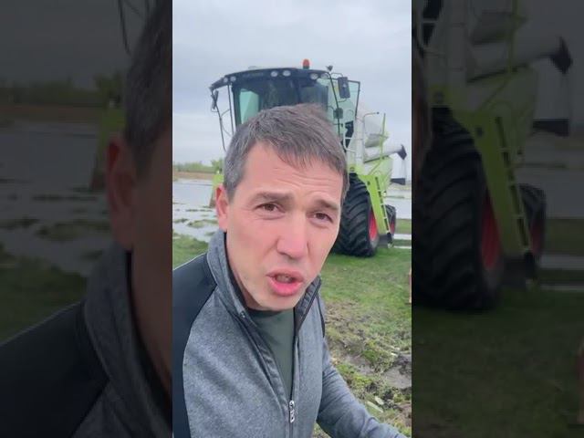 D7cb92509dad35b42a80bfc6d6f1a36d