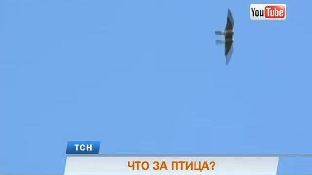 4b3b241e2f4197978b4ec8d2f5daec90