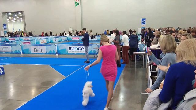 3756ae04352cb7c1a6b186e24473cbcc