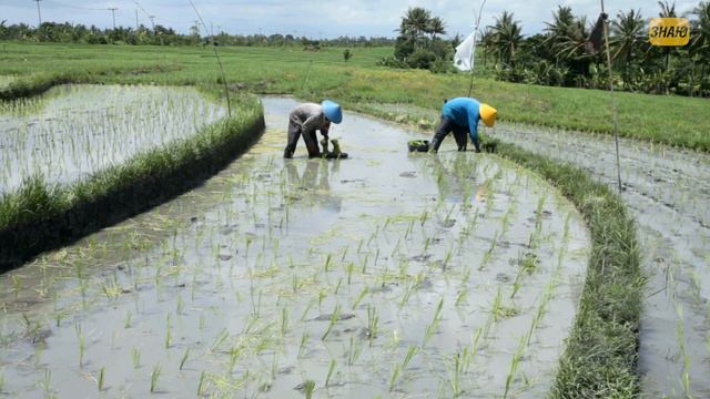 Зачем Китаю небесные дороги?! Разгон в мостостроении Китая