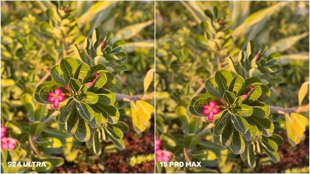 Samsung Galaxy S24 Ultra VS iPhone 15 Pro Max | Night Mode Camera Test