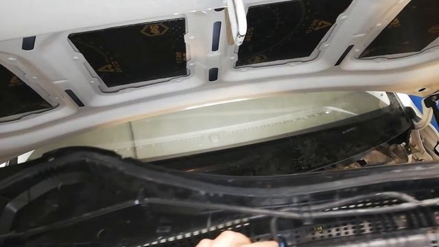 Чистота с заботой