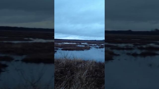 50bdb391e7f16c5ea0a27ec7dc650cbf