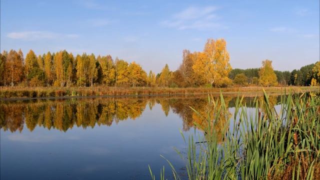 Золотые краски осени