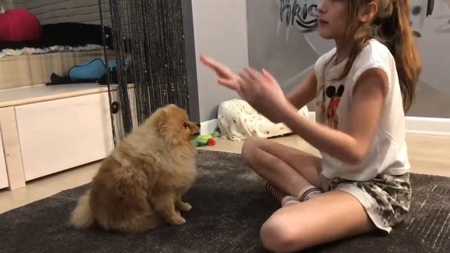 Как научится команде КУВЫРОК и ДАЙ ПЯТЬ ✋