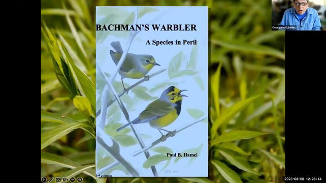 Lunch And Learn: Wild South- The Fight For Native Plants On The Brink Of Extinction