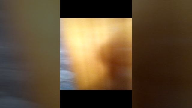 7b8601ce78a32ffa69f6124dff0ecaee