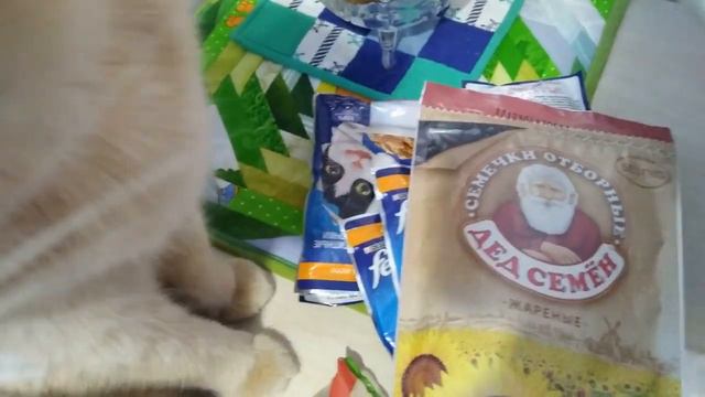 Куда потратить пенсию?