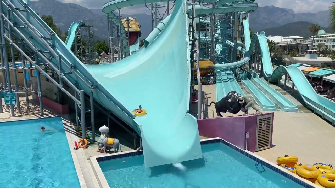 DAIMA BIZ Turkey Турция