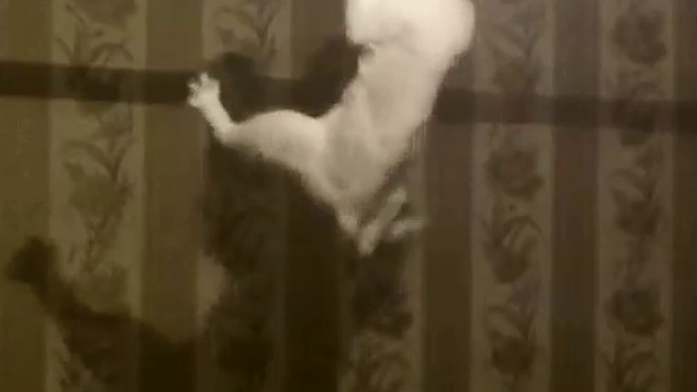 77095efcb0495d40333efea0d4eaa62a