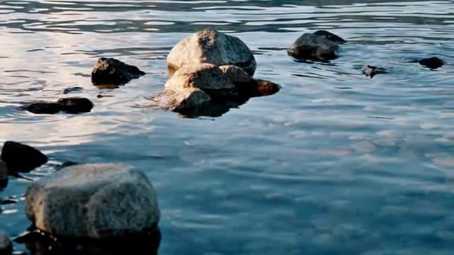 Traful | Mondo Bongo