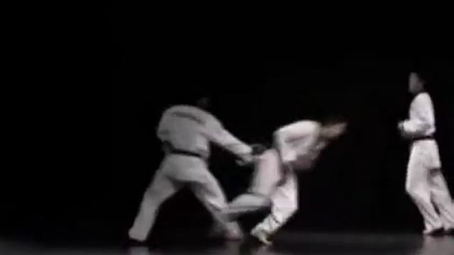 Exhibición Taekwondo 3