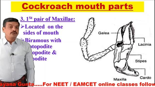 5d50b342d21d654b81541d0a4b34d178