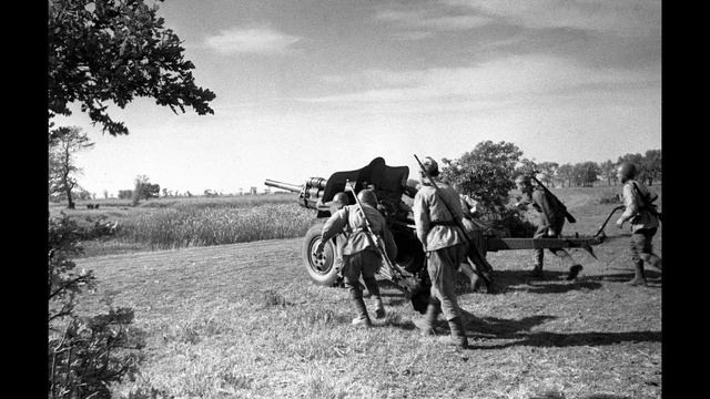 Сергей Богачев. 