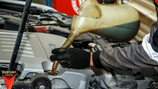 Инструментальный фестиваль: колорит и креативность