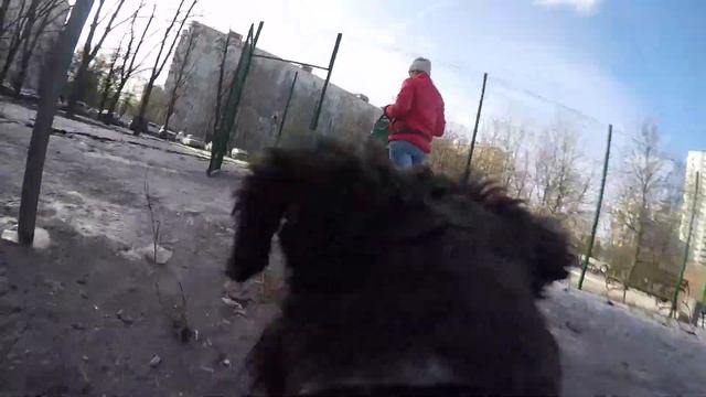 Почему я не прихожу на работу к 10 утра