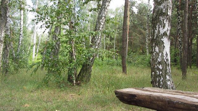 Как кардинально улучшить своё самочувствие*рецепты здоровья