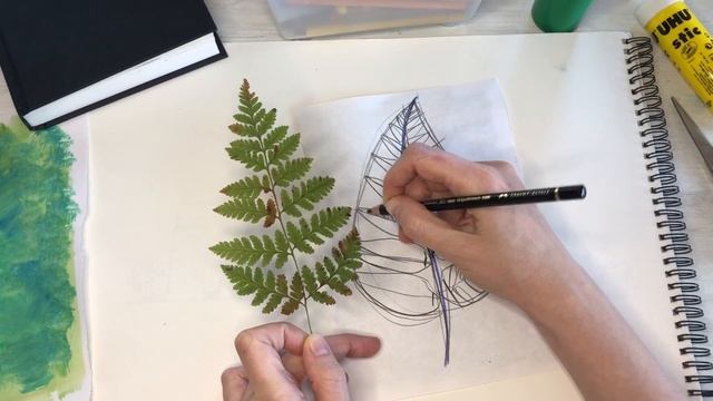 Как нарисовать папоротник. Рисование для детей.