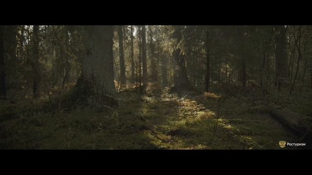 43d23ce04ce6aba3ff3fc84f6bc5d895