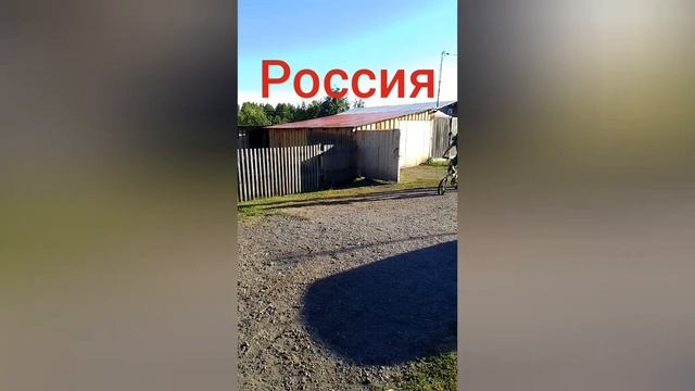 803b38f910ff4991dd0a81359d586d82