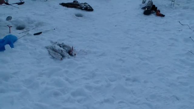 757f468e1983b27ab86fd6749d262d1e