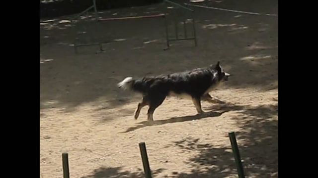 Чемпионат Москвы 2013 медиум гемблерз