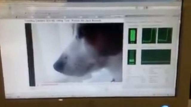 YouTubeHD Vs Intel Atom N270