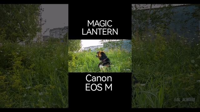 MAGIC LANTERN Canon Eos M #shorts
