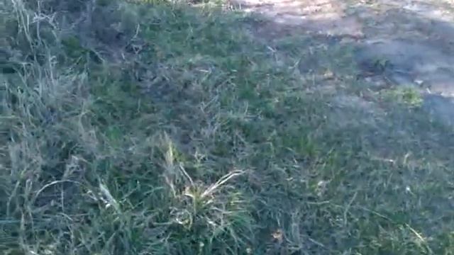 Прикол 2014. Падение и смех