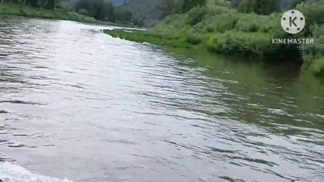 Ежегодная поездка