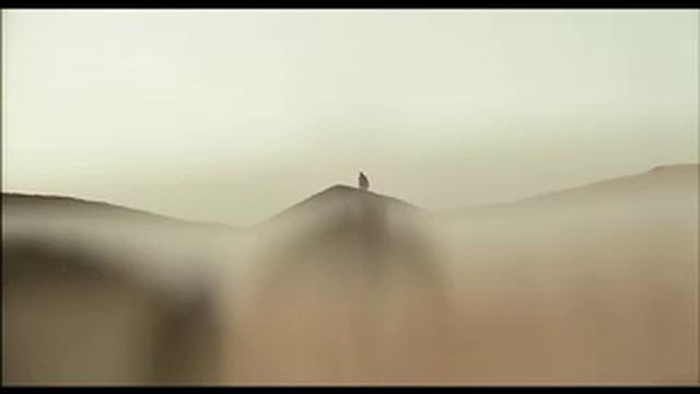 Louis Vuitton Film