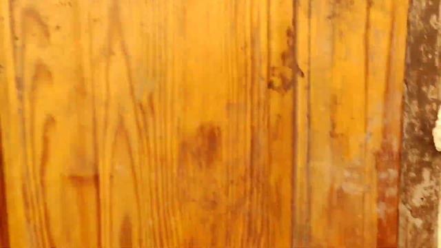 Мой Новогодний подарок!