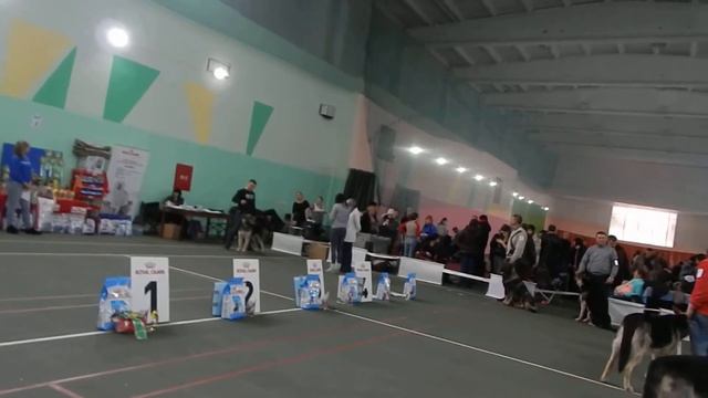 Моно ВЕО Воронеж