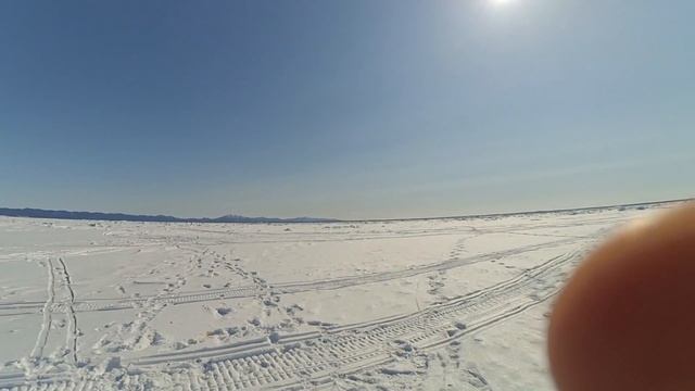 Крабики на ужин!