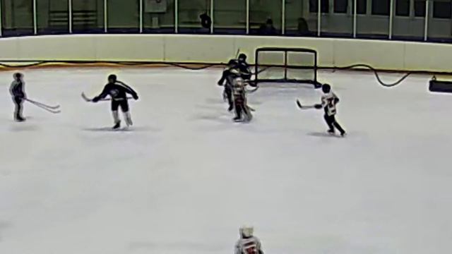 Дисквалификация! Удар концом клюшки!