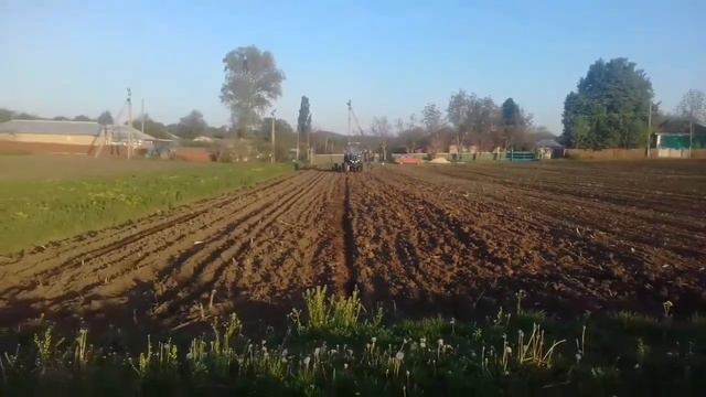 Посев кукурузы с сеялкои СПЧ 6 мтз 82.1  Sowing maize from the seed drills SCHM 6 mtz 82.1