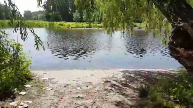 A42c44d1786779ec5548e53a4540252a