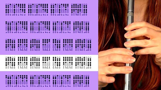 John Ryan's Polka | TIN WHISTLE TABS TUTORIAL - Titanic Irish Song