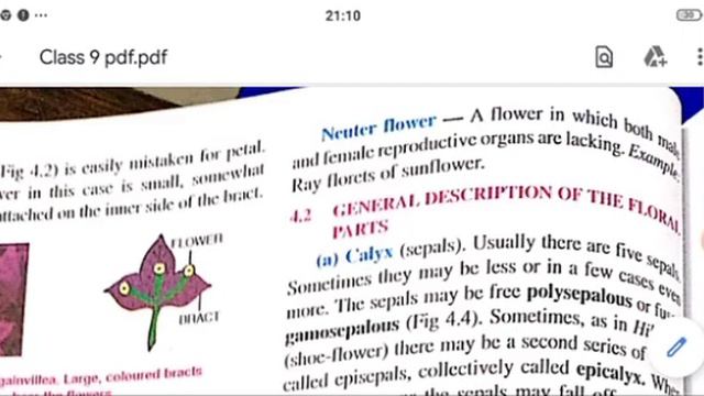 Class 9 A Biology Chapter 4 Flower Part 2