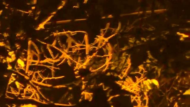 47e94d12d790a18107e05b832b8d3947