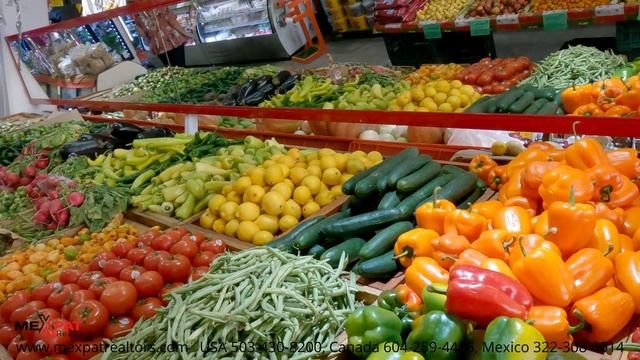 Puerto Vallarta Calle Franciso Villa Market