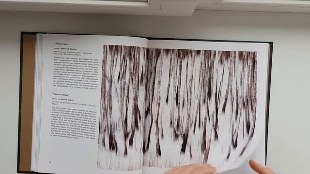 Изучение и Применение Психологических Практик