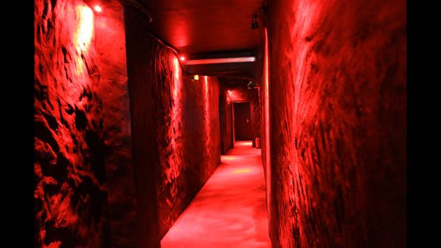 D381c86abfeb3369cedeb89598e98786