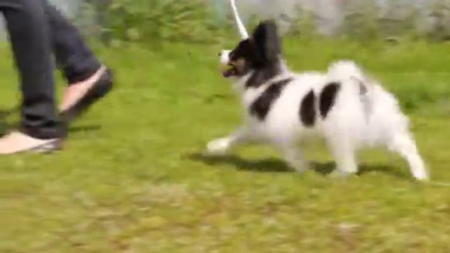 E16d6a23fee2f969cf47580b79813544