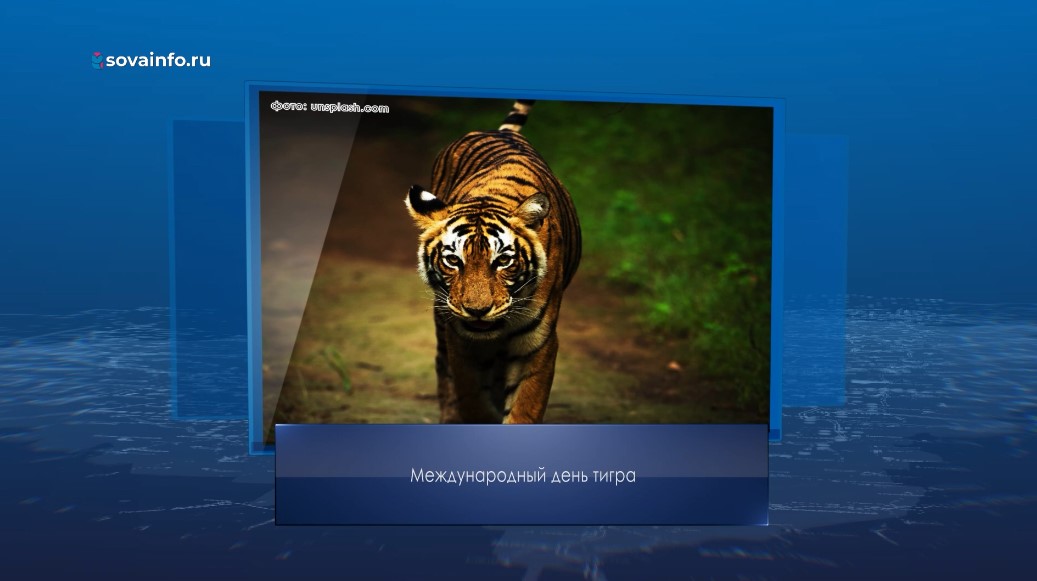 САМАРА | 450media