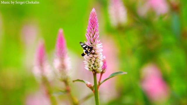 F3499a0779611fa73cefc93194ed4d10