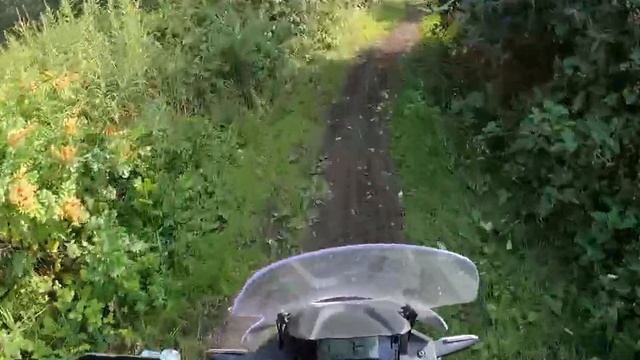 E80b7641384deefb43d01d29842de59a