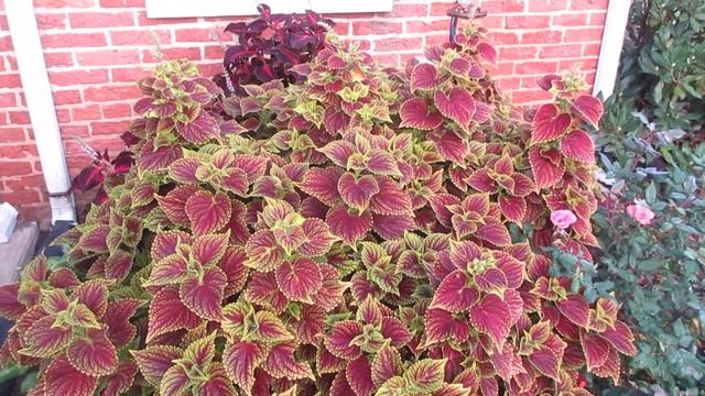 3baae73de18ba021238f58e183863f33